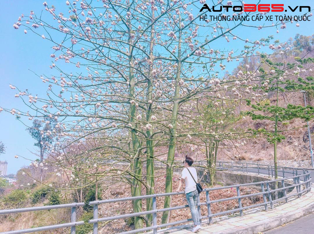 đường lên ngọn hải đăng