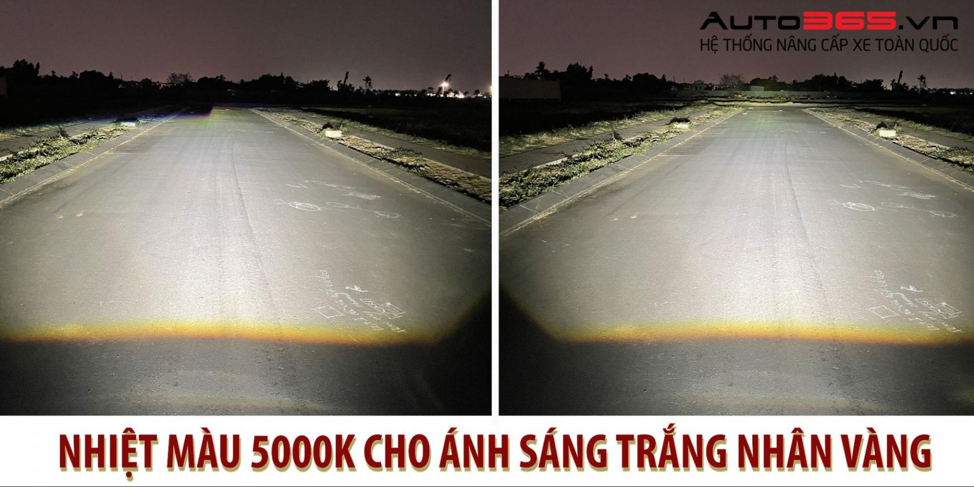 nhiệt màu x-light v20 new