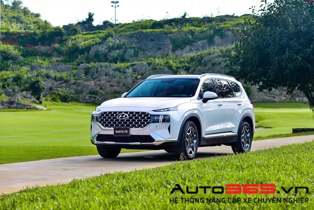TOP XE CỦA NĂM 2022