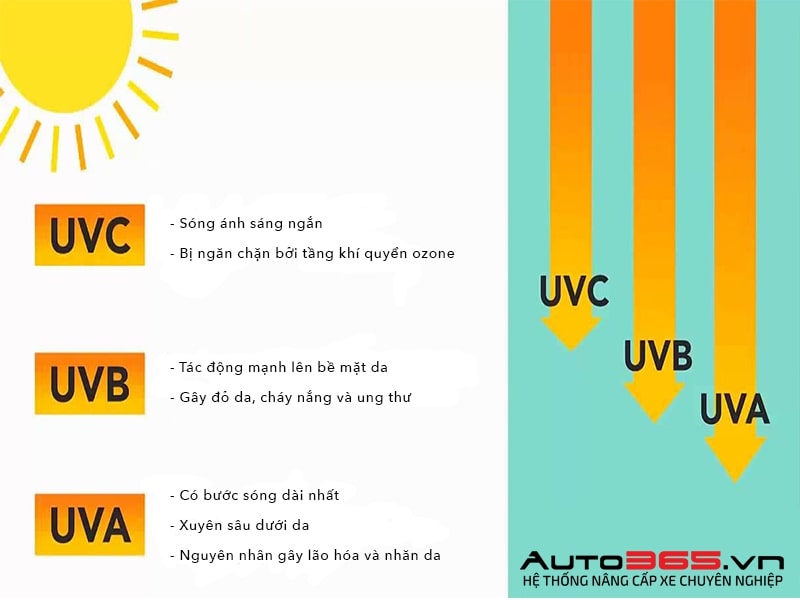tia uv là gì