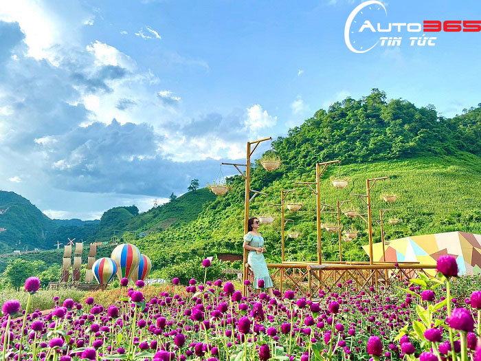 Check In bên vườn hoa đầy thơ mộng