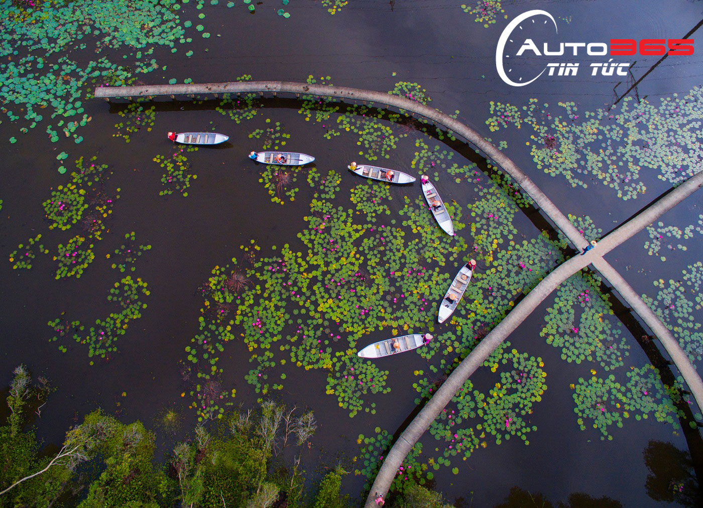 Khung cảnh nhìn từ trên cao của Làng nổi Tân lập