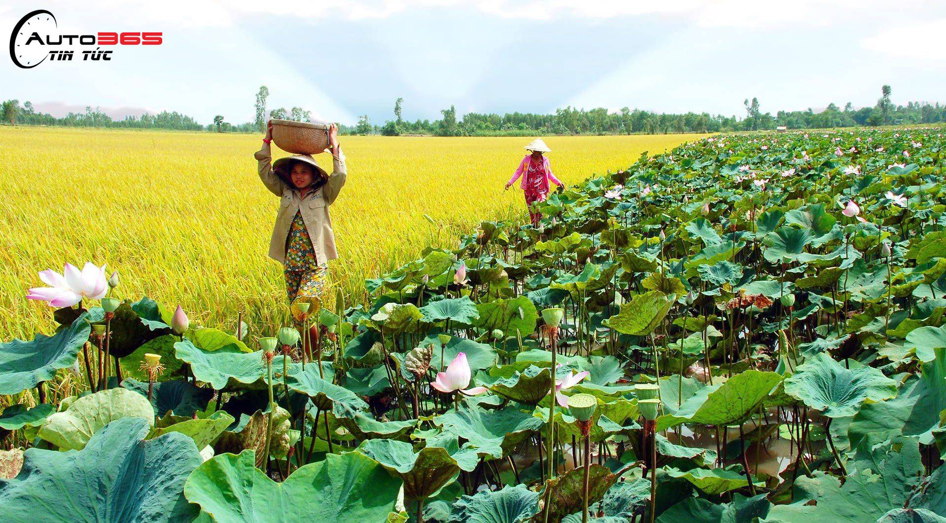 Khu du lịch Đồng Tháp Mười Long An