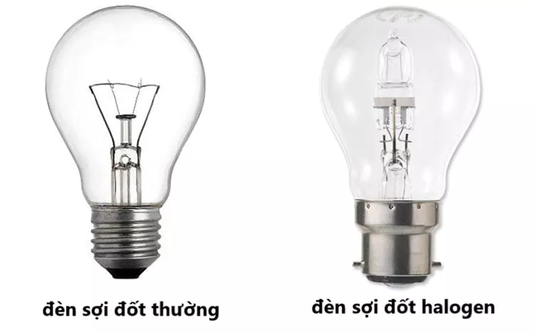 Đèn halogen là gì? Ưu nhược điểm và khi nào nên thay