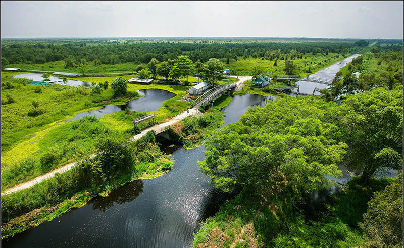 VƯỜN QUỐC GIA U MINH THƯỢNG