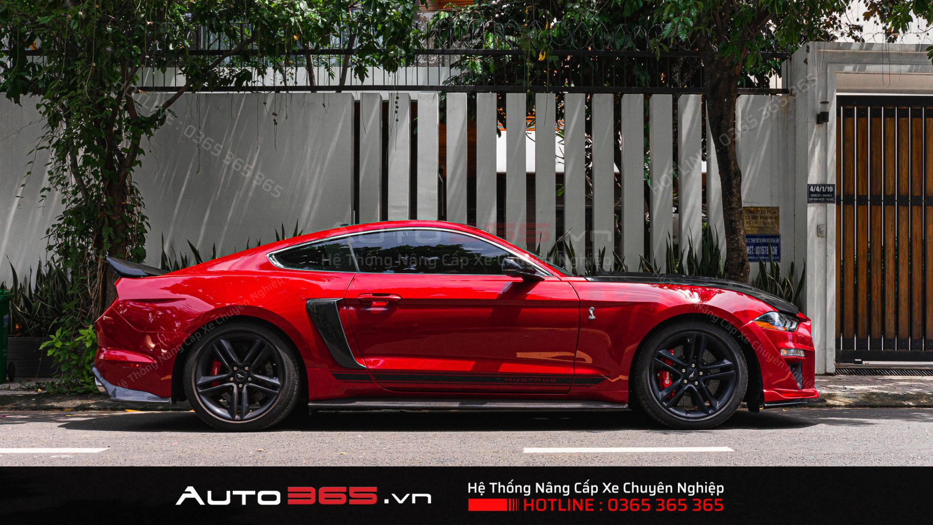 X-light V30L “Xóa cận” thành công cho Ford Mustang Shelby GT500