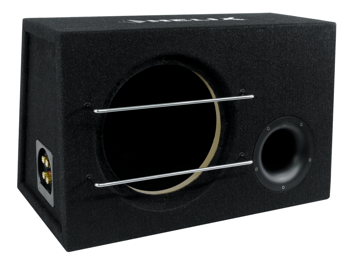 Loa Subwoofer 10