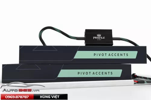 Strips Profile Pivot ( Switchback ) - Hình 1