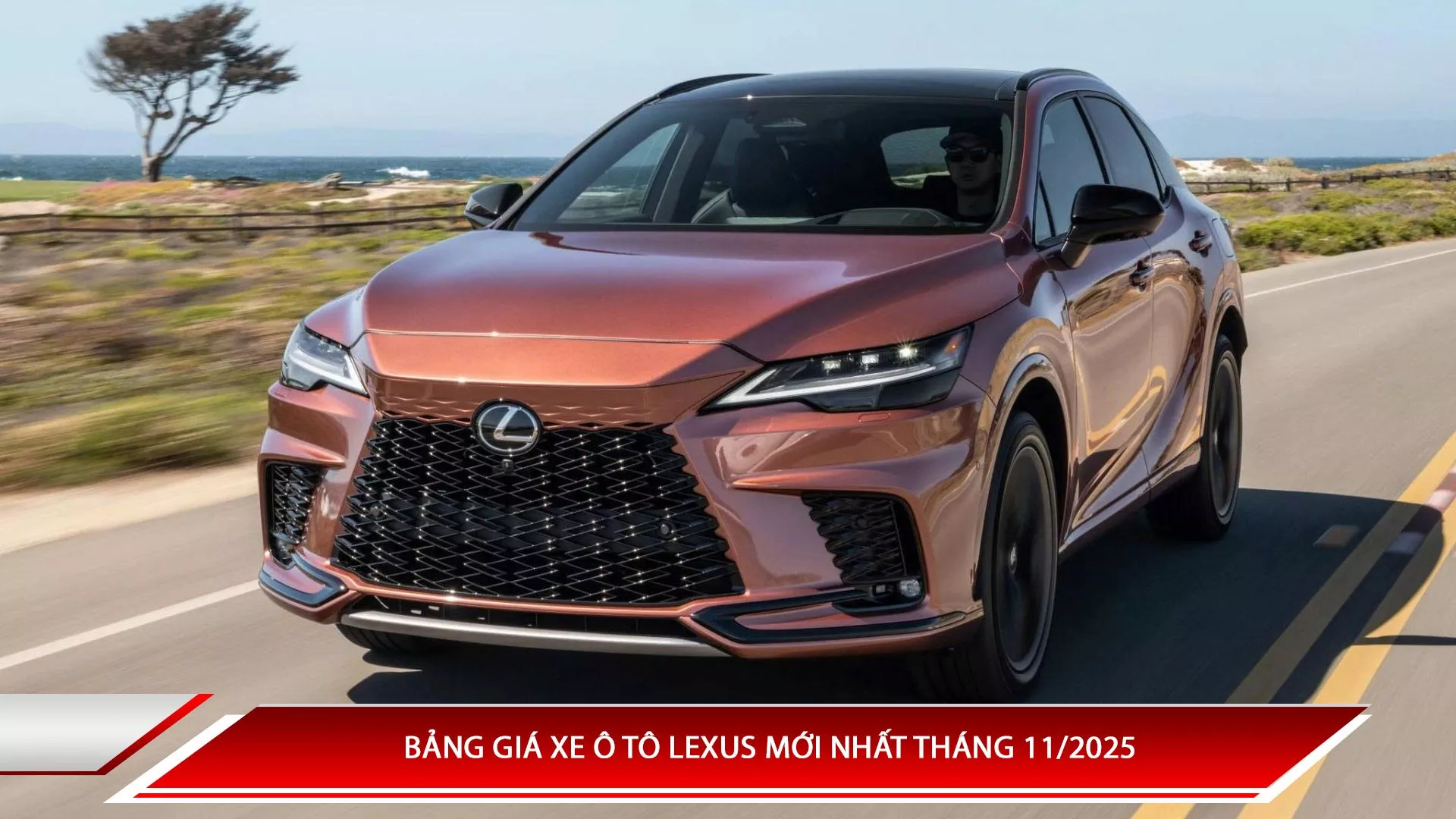 Bảng giá xe ô tô Lexus mới nhất tháng 11/2025