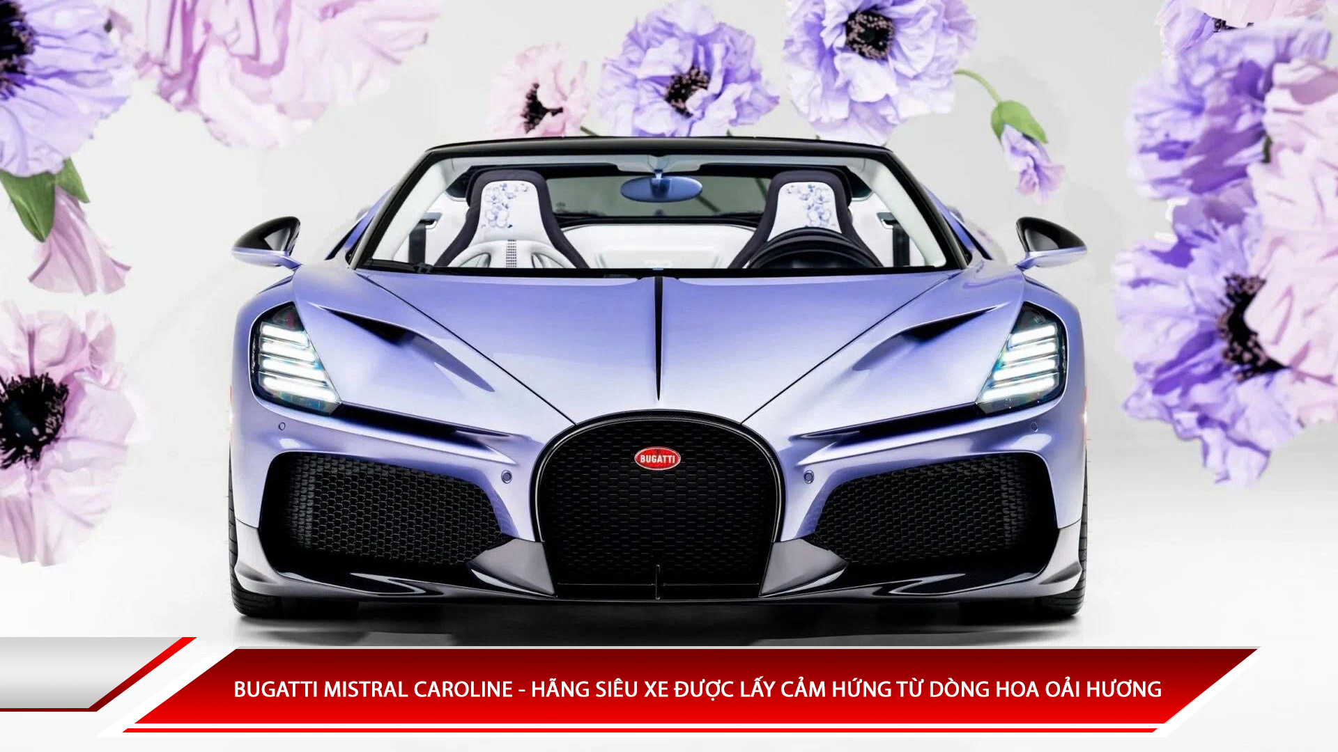 Bugatti Mistral Caroline - Hãng siêu xe được lấy cảm hứng từ hoa oải hương