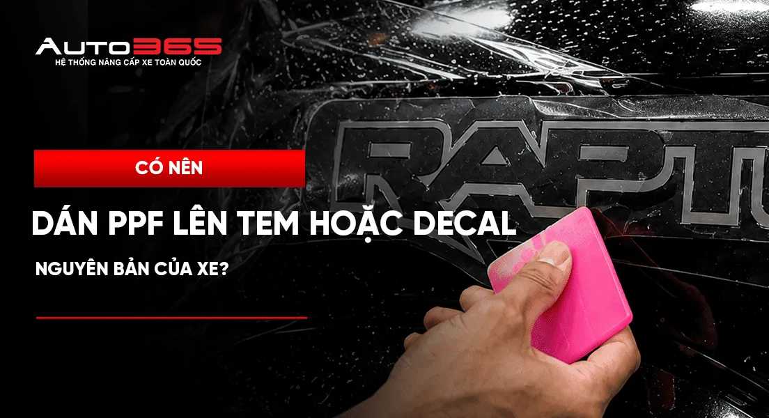 Có nên dán PPF lên tem hoặc decal nguyên bản của xe?