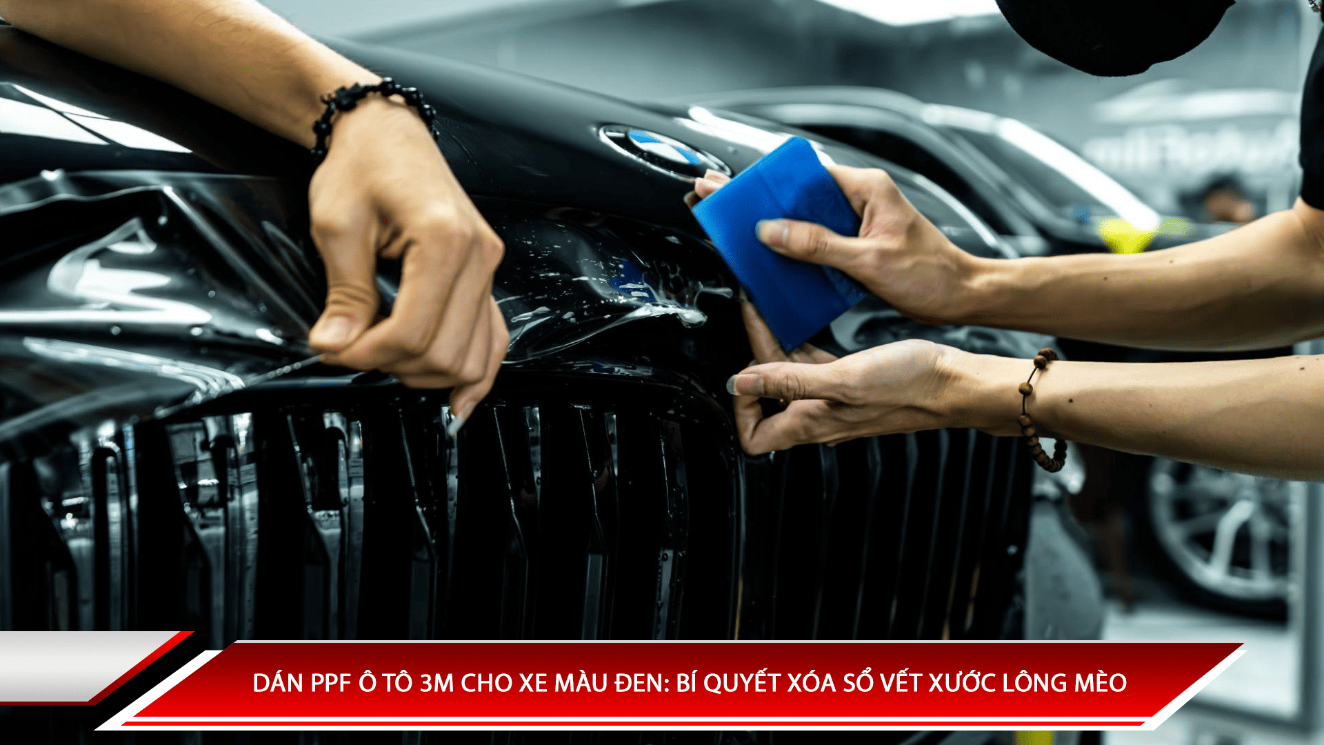 Dán PPF ô tô 3M cho xe màu đen: Bí quyết xóa sổ vết xước lông mèo