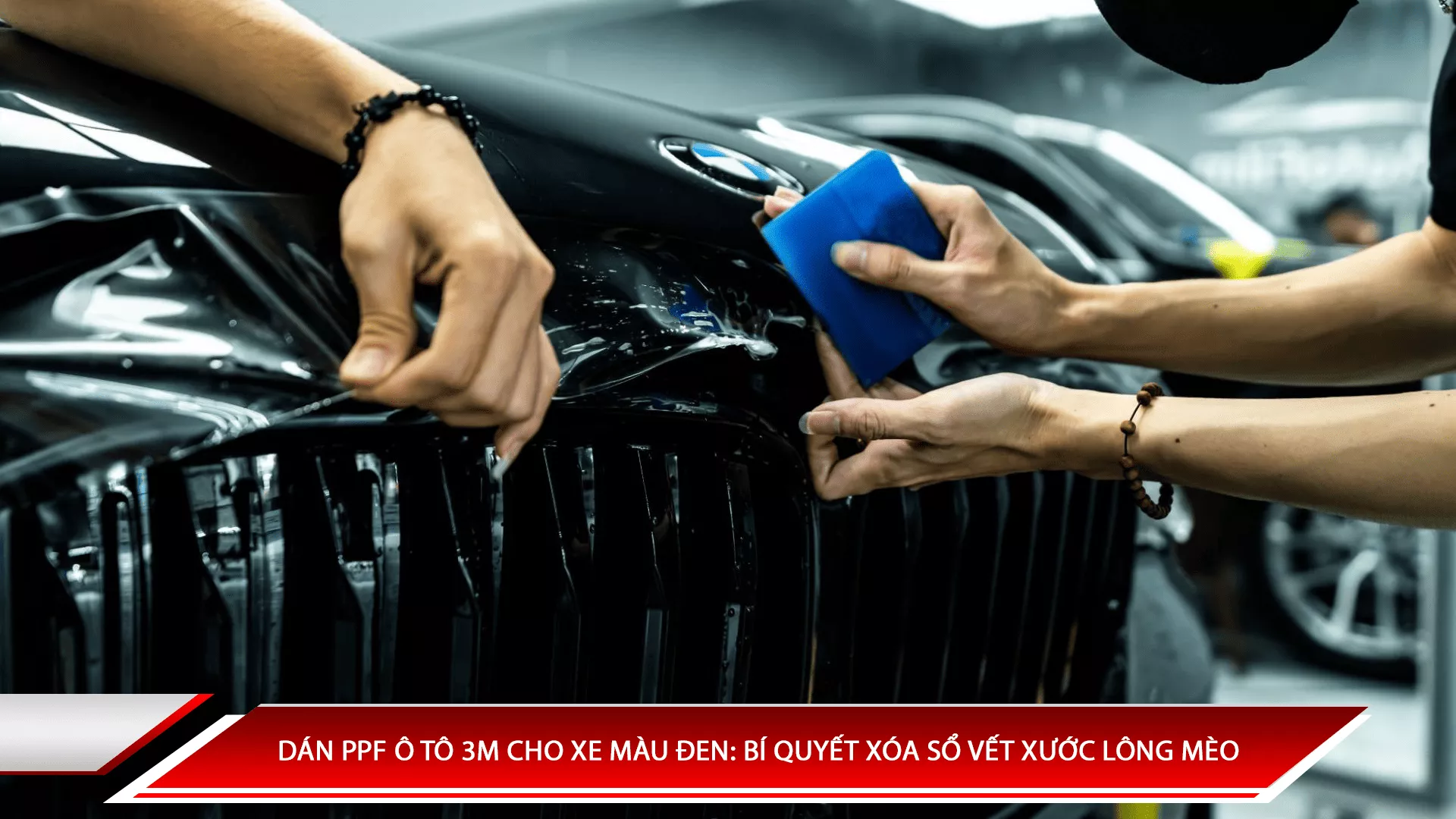 Dán PPF ô tô 3M cho xe màu đen: Bí quyết xóa sổ vết xước lông mèo