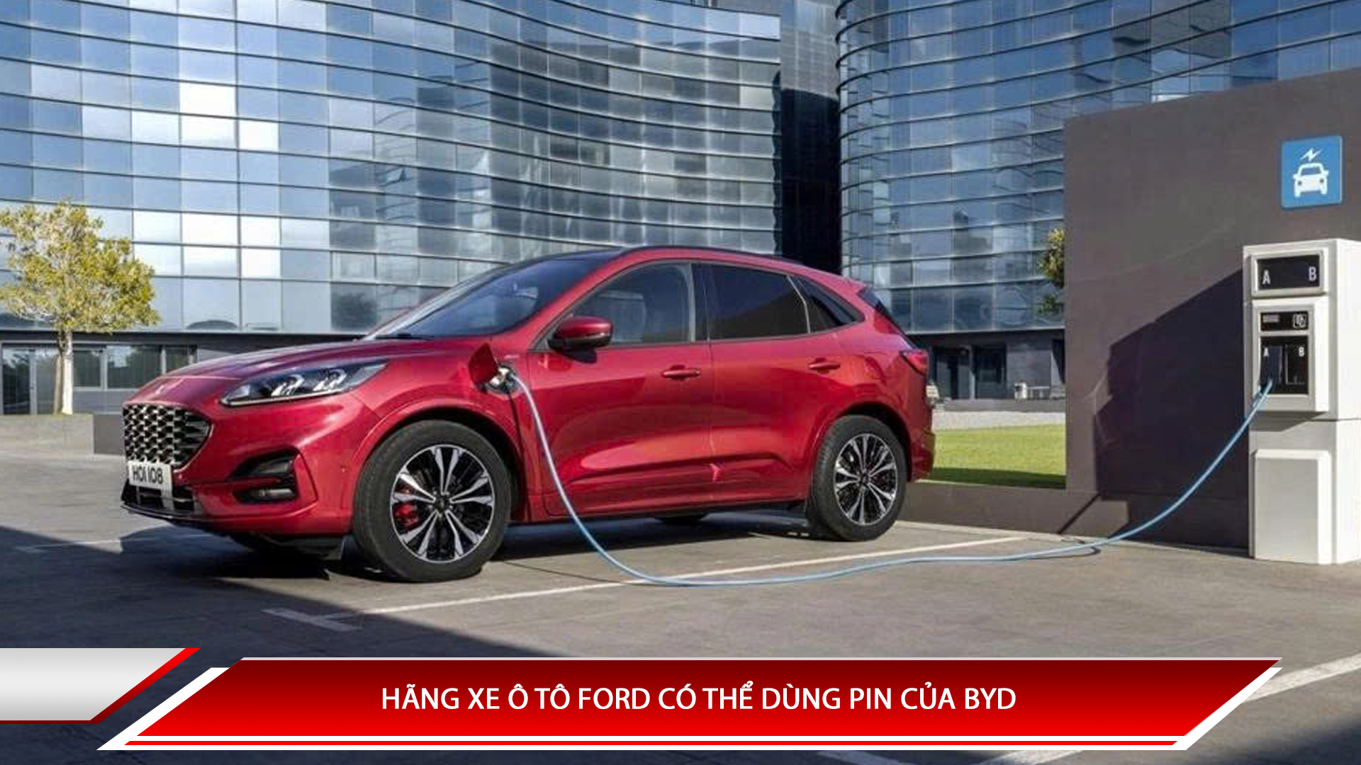 Hãng xe ô tô Ford có thể dùng Pin của BYD