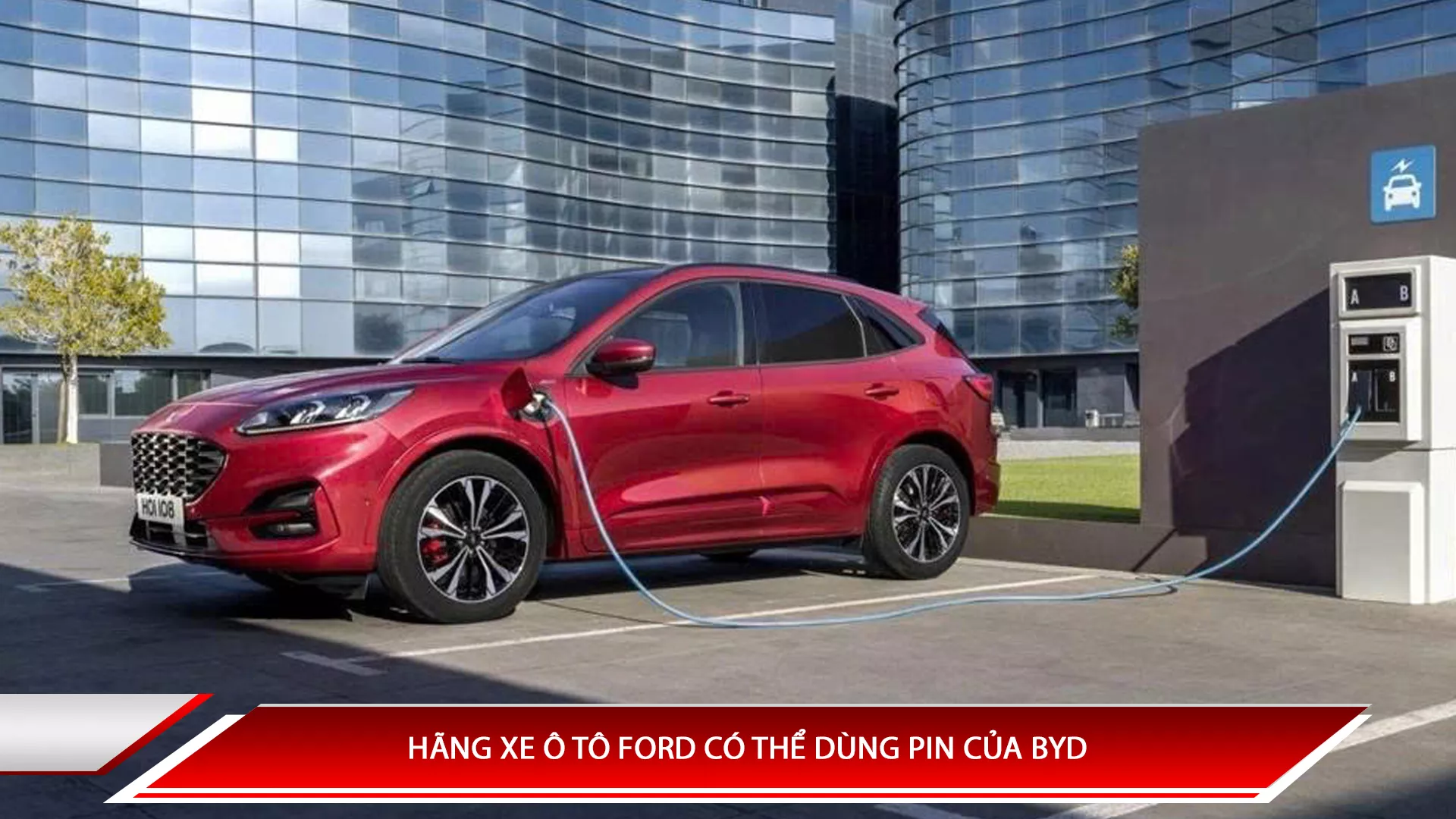 Hãng xe ô tô Ford có thể dùng Pin của BYD