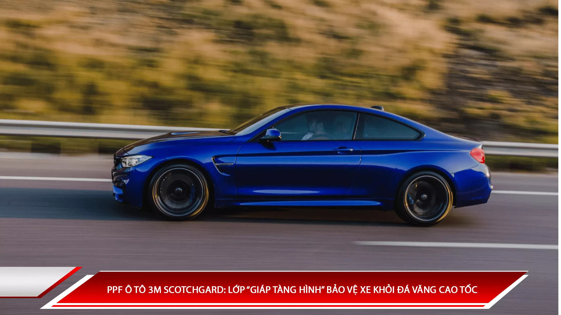 PPF ô tô 3M Scotchgard: Lớp 