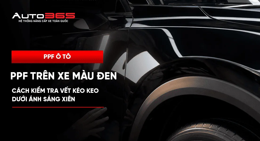 PPF trên xe màu đen: kiểm tra vết nghi kéo keo dưới ánh sáng xiên