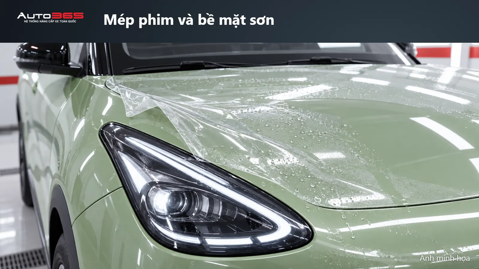 Source-based mockup cận mép PPF trên góc capo cạnh đèn EX2, không dùng ảnh như kết quả nghiệm thu