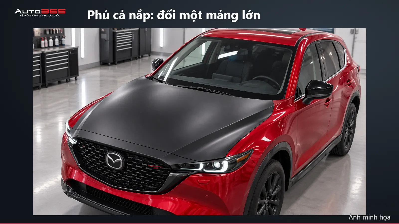 Minh họa mô phỏng trên xe: Phủ cả nắp: đổi một mảng lớn