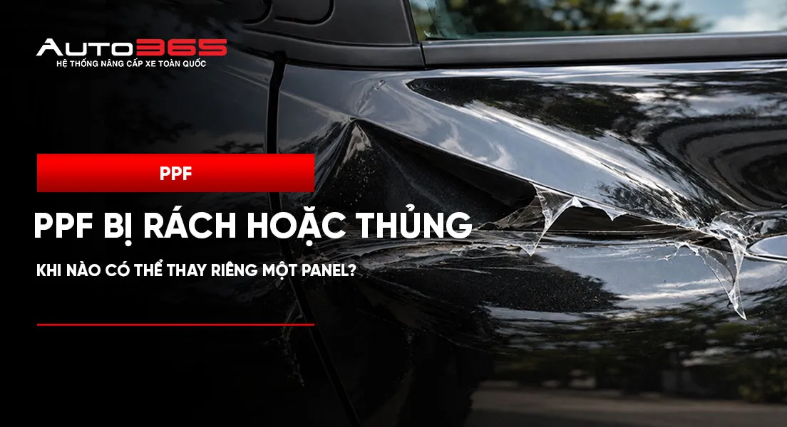 PPF bị rách hoặc thủng: Khi nào có thể thay riêng một panel?