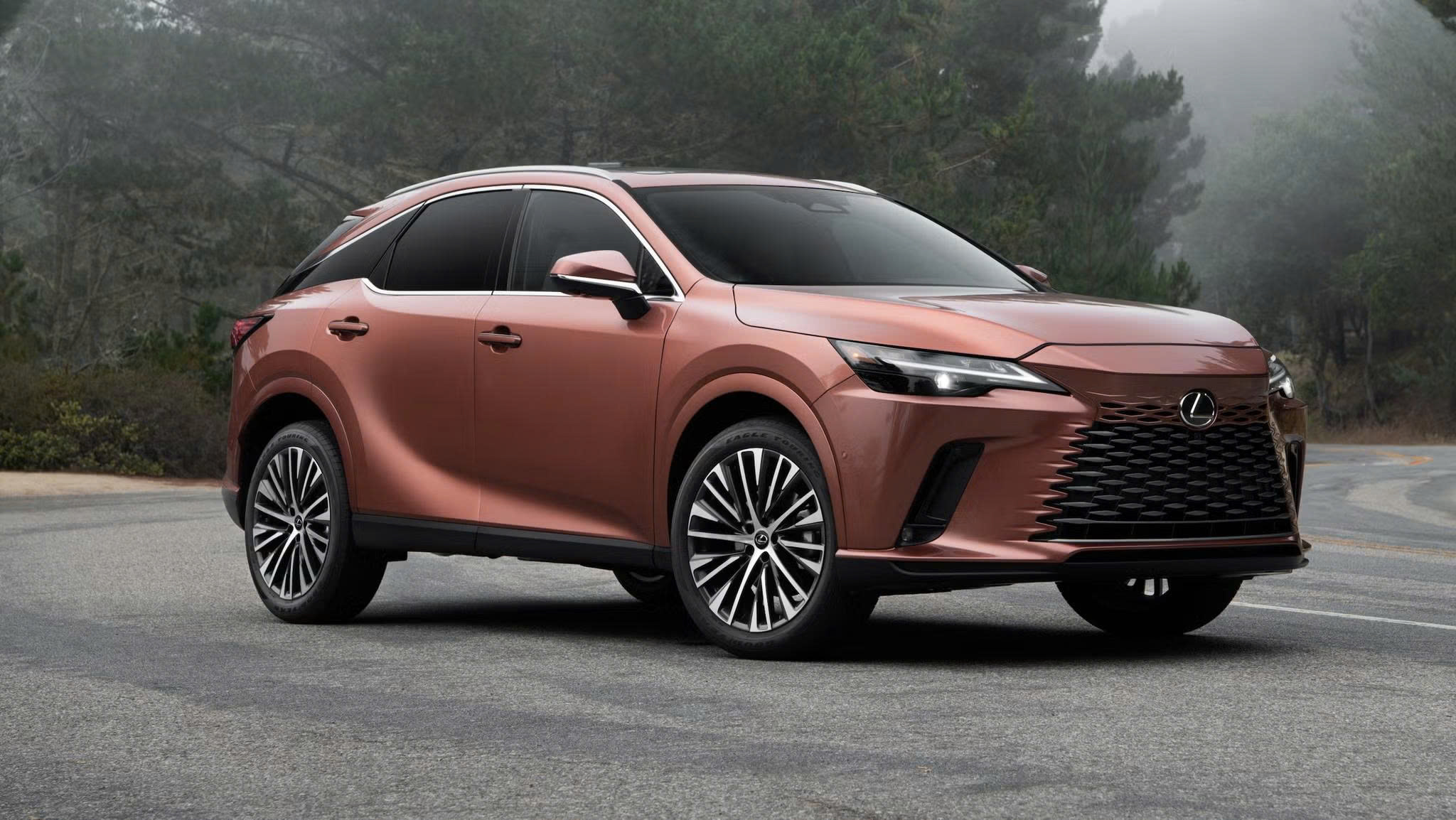 bang-gia-xe-lexus-thang-10-2025.jpg