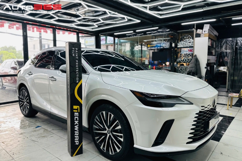 dan-ppf-o-to-tai-auto365-ha-nam.jpg