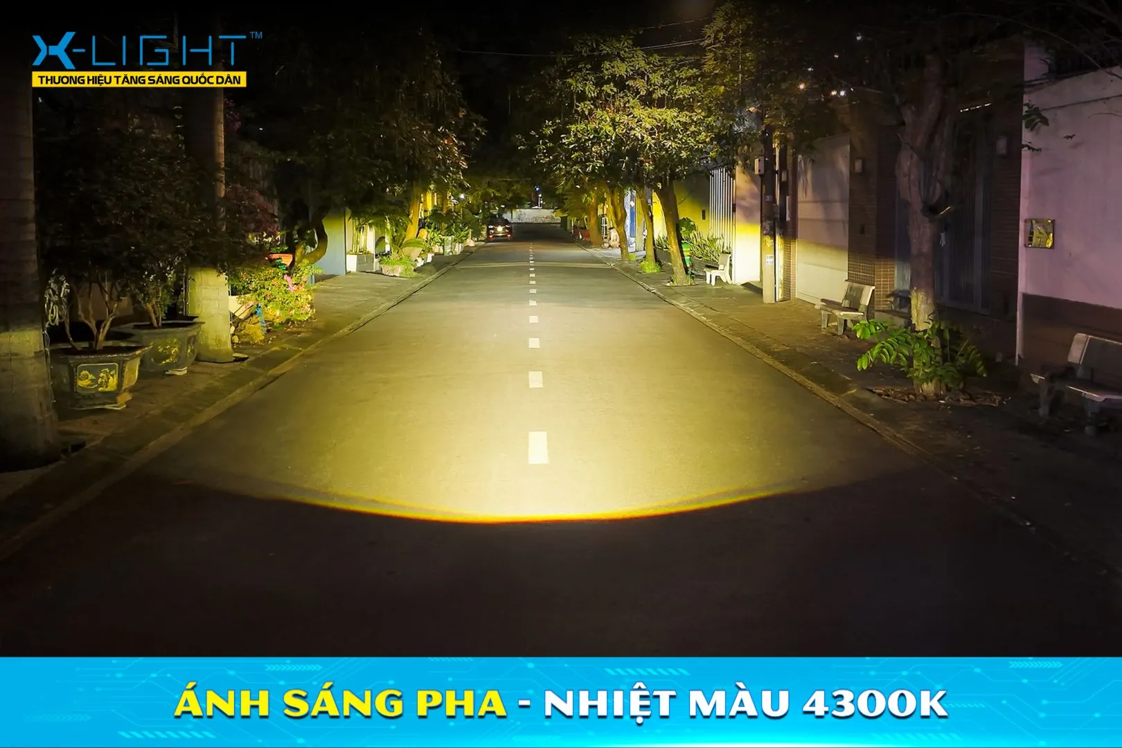 Vùng sáng Pha nhiệt màu 4300K của X-Light 301 V2 sau khi căn chỉnh.