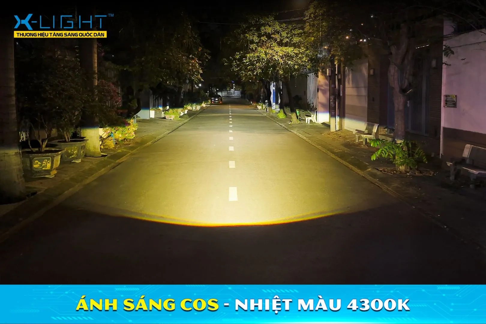 Vùng sáng Cos nhiệt màu 4300K của X-Light 301 V2 sau khi căn chỉnh.