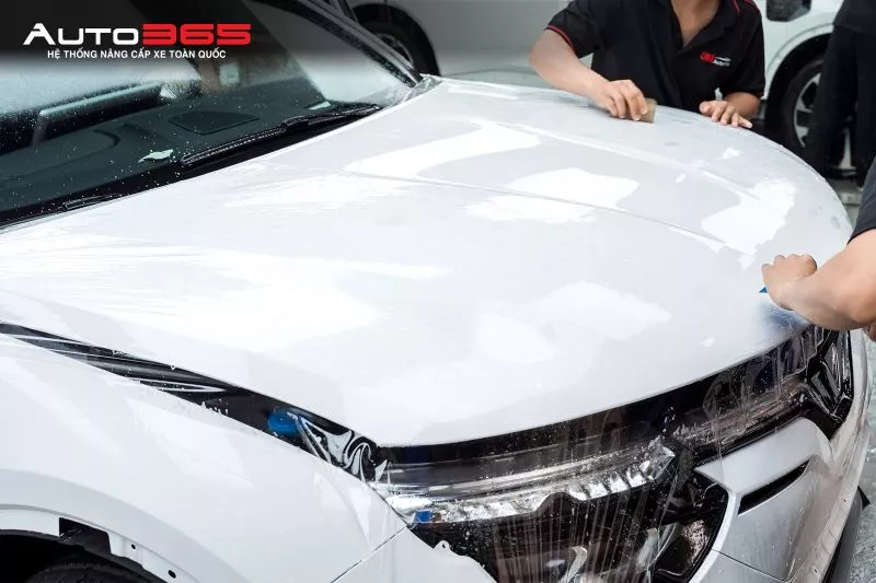 Kỹ thuật viên triển khai PPF trên nắp capo VinFast VF 8, một trong các bề mặt chính ở phần đầu xe