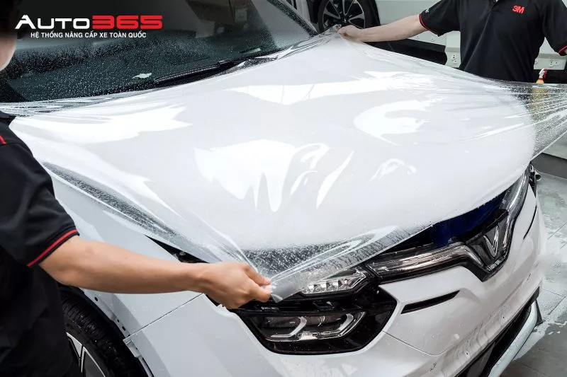 PPF được triển khai theo từng panel thuộc phạm vi đã thống nhất trước khi hoàn thiện và nghiệm thu toàn xe