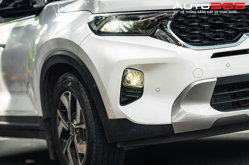 tai-sao-anh-sang-vang-lai-an-toan-hon-trong-dieu-kien-suong-mu-mua-to (4).jpg