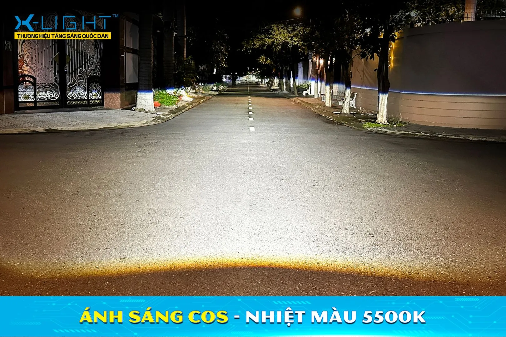 Vùng sáng Cos nhiệt màu 5500K của X-Light V20 Square sau khi căn chỉnh.