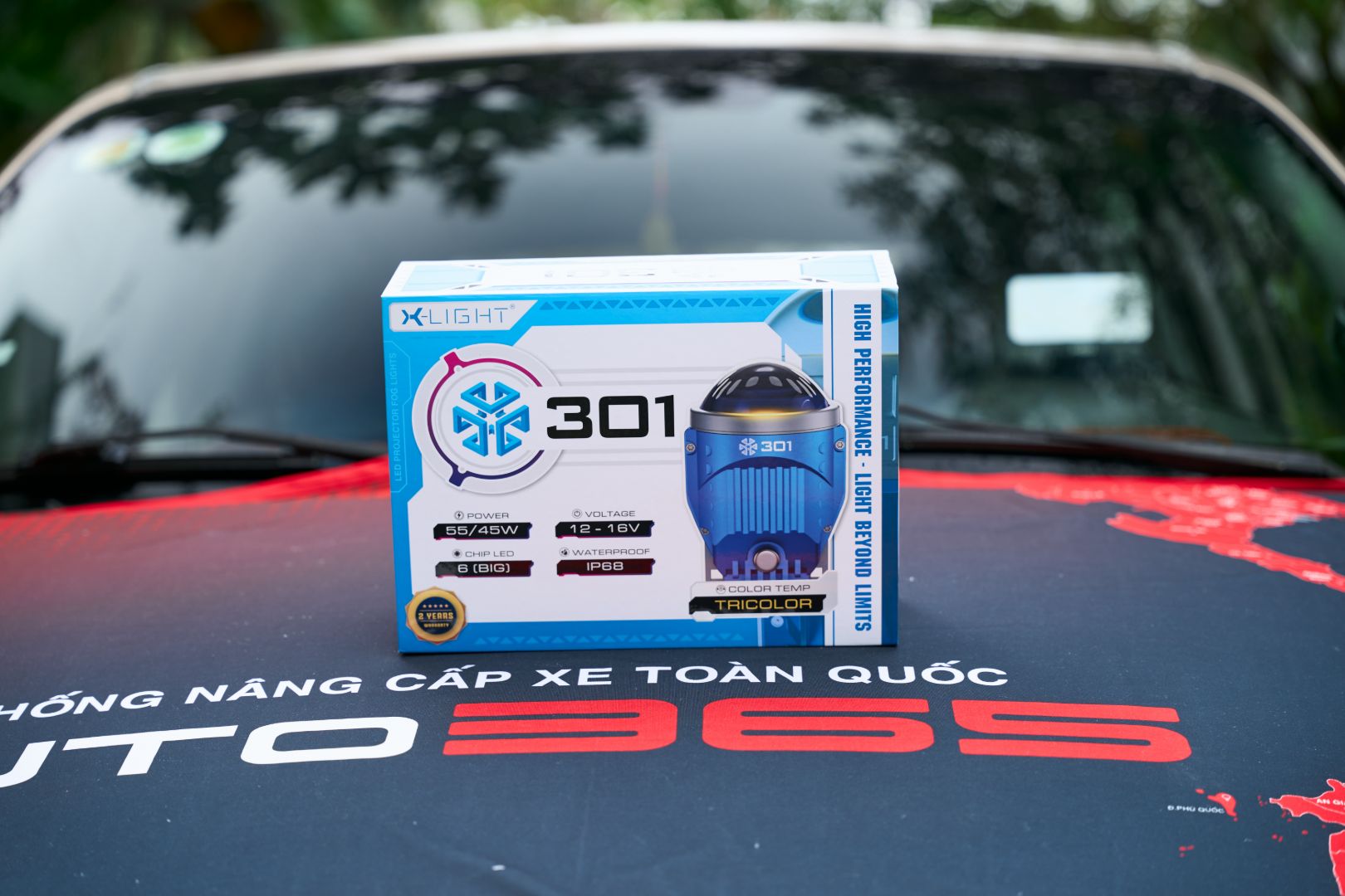 XLIGHT 301_CARNIVAL11-02-26_1.jpg