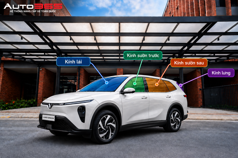 Các vị trí cần cân nhắc khi dán phim trên xe gồm kính lái, kính sườn trước, kính sườn sau và kính lưng (sơ đồ đồ họa minh họa phân vùng kính tham khảo)