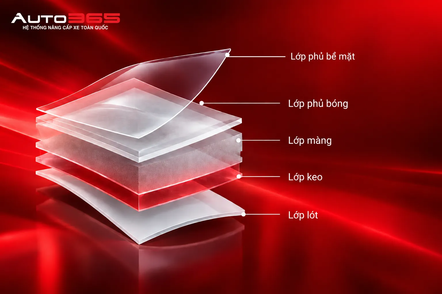 Minh họa cấu tạo các lớp liên quan đến độ dày PPF