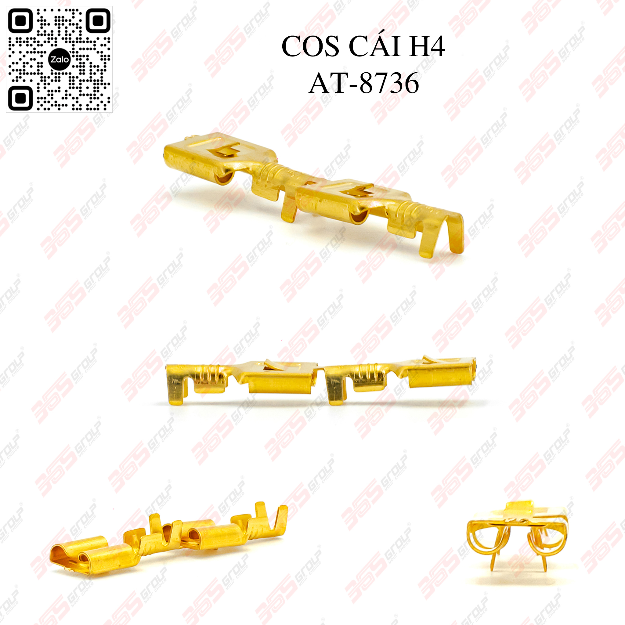 Cos Cái H4 AT 8736