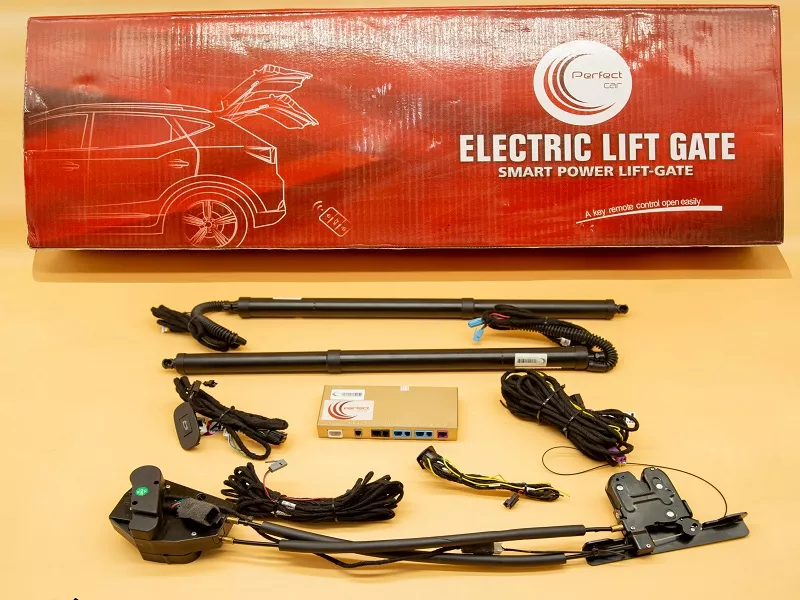 CỐP ĐIỆN Ô TÔ PERFECT CAR - Hình 1