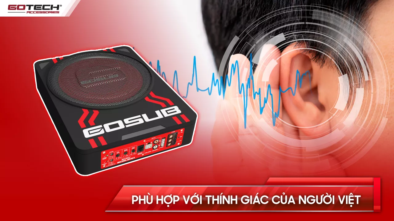 LOA GOSUB 10 CHO XE Ô TÔ - Hình 5