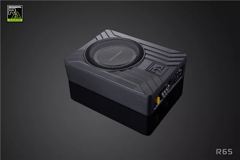 LOA SUB ĐIỆN LẮP GẦM GHẾ RADICAL RA65 - Hình 1