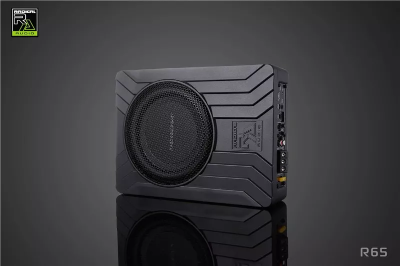 LOA SUB ĐIỆN LẮP GẦM GHẾ RADICAL RA65 - Hình 2