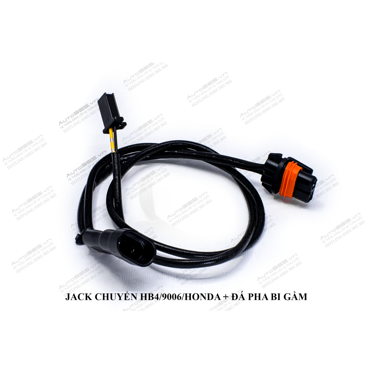 HB4 - 9006 - HONDA VÀ ĐÁ PHA  BI GẦM - Hình 1