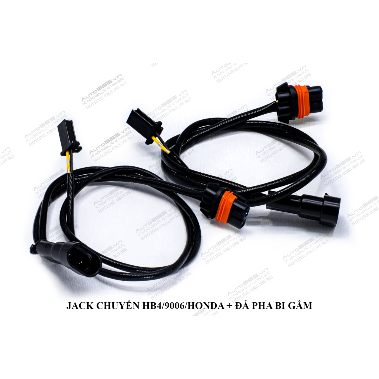 HB4 - 9006 - HONDA VÀ ĐÁ PHA  BI GẦM - Hình 2