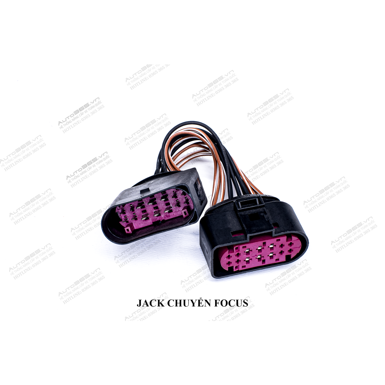 JACK FOCUS - Hình 1