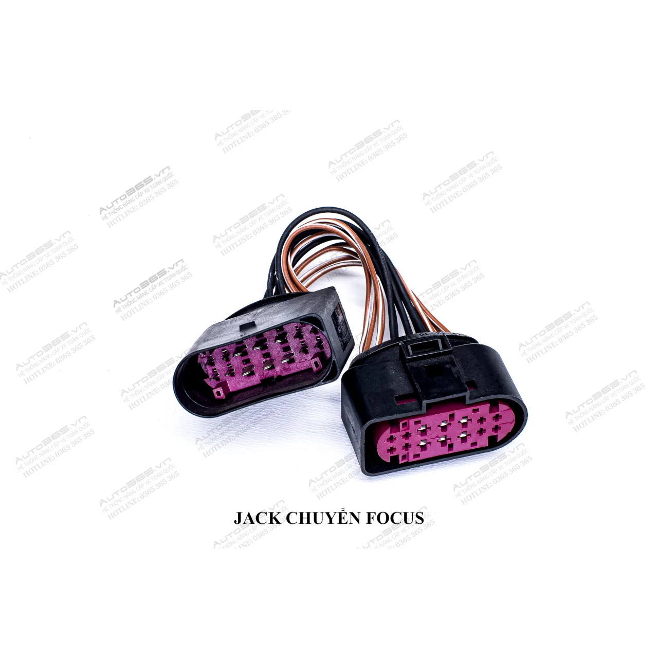 Jack Focus - Hình 1