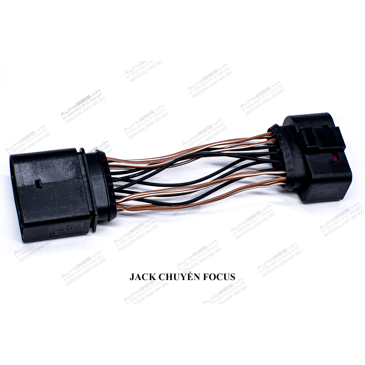 JACK FOCUS - Hình 3