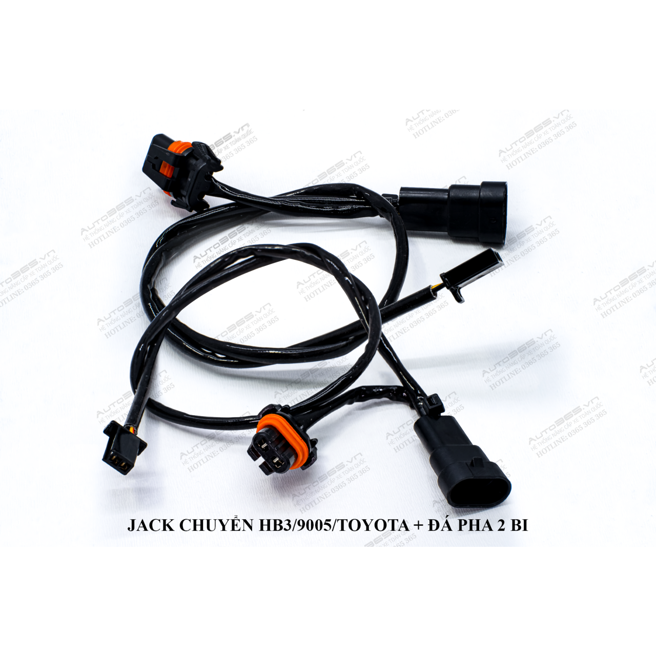 HB3 - 9005 - TOYOTA VÀ ĐÁ PHA 2 BI - Hình 2