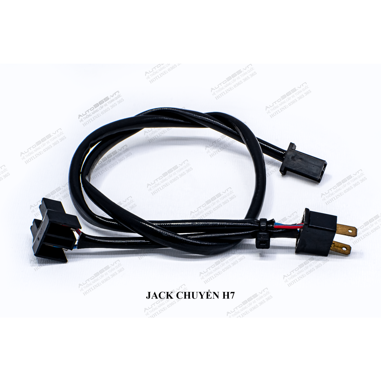 JACK H7 - Hình 1