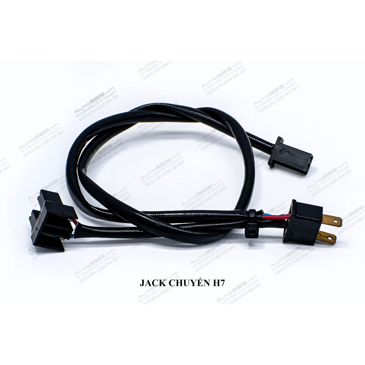 JACK H7 - Hình 1