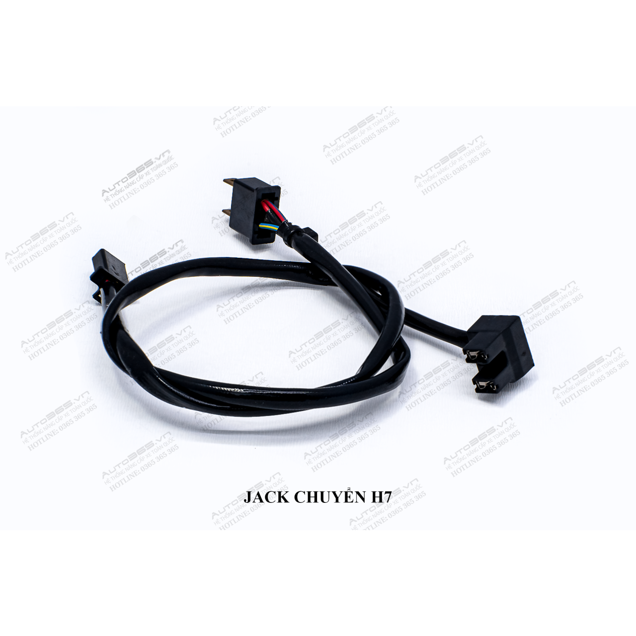 JACK H7 - Hình 3