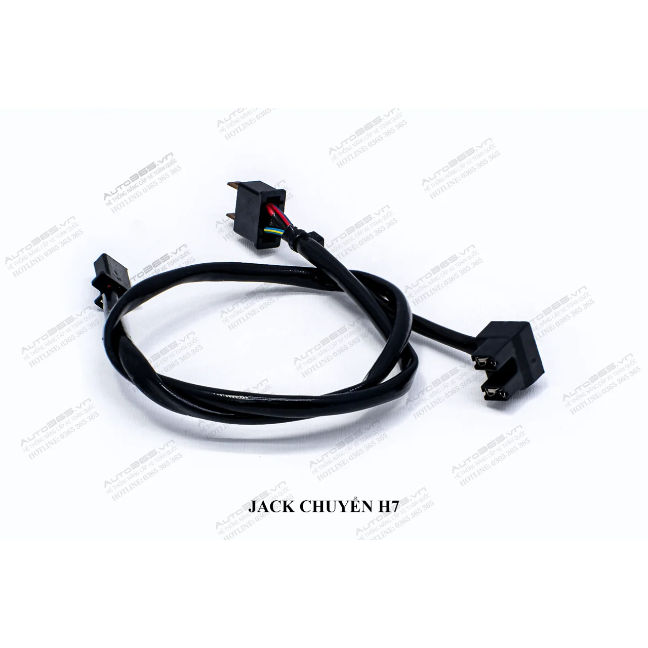 JACK H7 - Hình 3